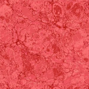 Jinny Beyer Palette Granite - Coral 3365-006
