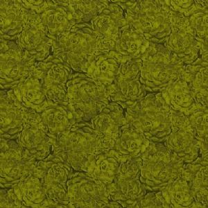 Jinny Beyer Palette Hens and Chicks - Lime 8737-007