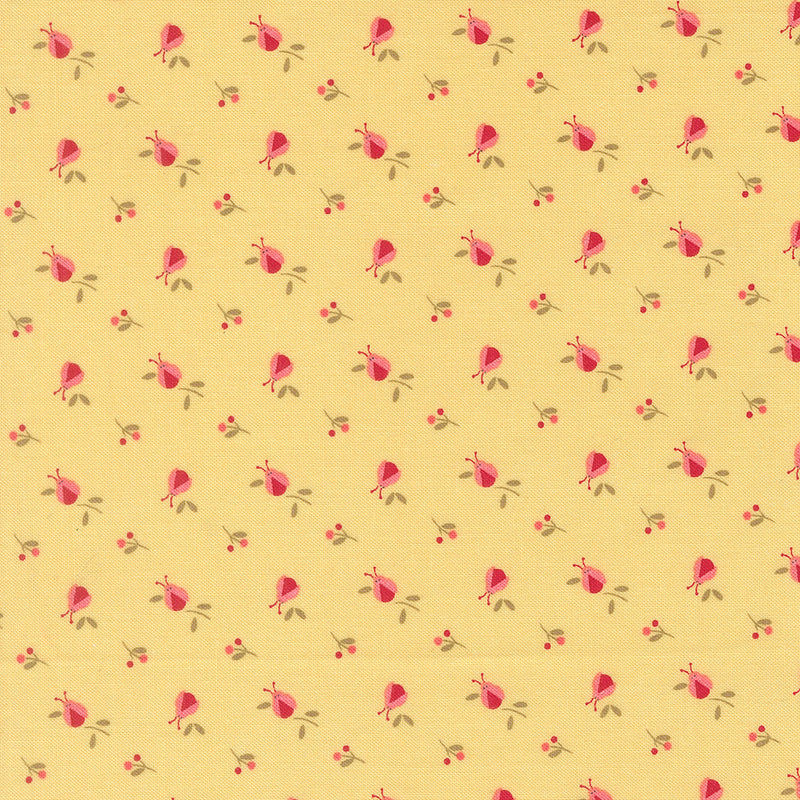 Lyda Rose Sunwashed 3075-14