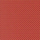 Sallys Stitches 31717-11