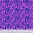 West Palm Beach 54051-13