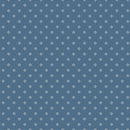 Family Reunion Smores C18410-DENIM