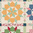 Family Reunion Home Dec Grandma's Star HD18416-MULTI