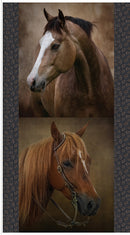 Horseshoe Creek Horses Panel