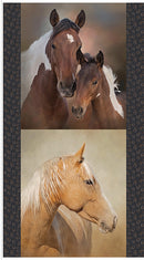 Horseshoe Creek Horses Panel