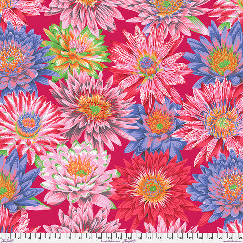Philip Jacobs - August 2023 - Tropical Water LIlies - Red PWPJ119-RED