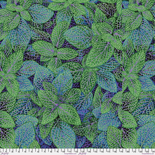 Philip Jacobs - August 2024 - Fittonia Green PWPJ129-GREEN