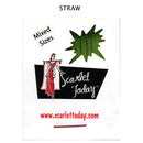 Redwork Straw Needles SNG-100