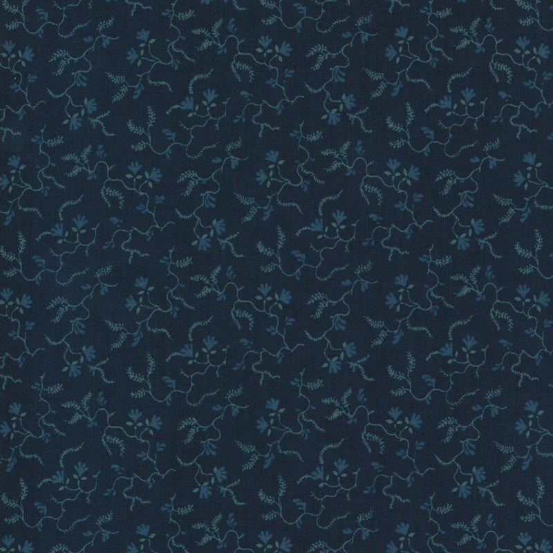 Marias Sky 31624-11