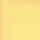 Break Of Day 43104-18