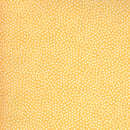 Spring Chicken 55525-14