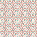 Mercantile Recollect Schoolhouse C14393R-SCHOOLHOUSE