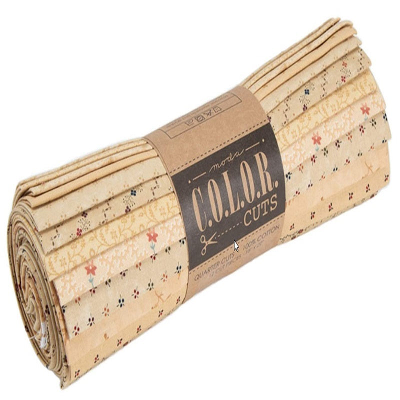 Color Cuts Quarter Cuts Biscotti CCAB12