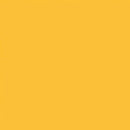 Designer Essentials Solids CSFSESS-SAFFR