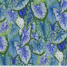 Philip Jacobs - August 2021 - Caladiums - Blue PWPJ108-BLUE