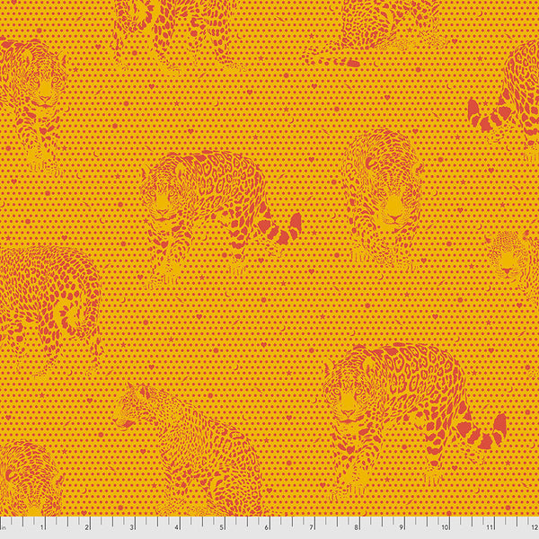 Daydreamer Lil Jaguars - Papaya PWTP174-PAPAYA