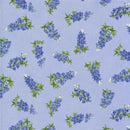 Best of Texas 11245-15