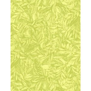 Jinny Beyer Palette Moss - Sunshine 3368-002