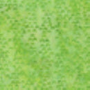 Quiltessentials Botanicals 404Q-9