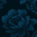 Color Wall 41482A-27