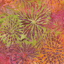 Color Pop Balis 7093-99