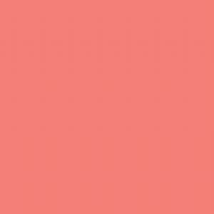 Designer Essentials - Tula Pink Solids - Hibiscus CSFSESS-HIBIS