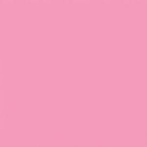 Designer Essentials - Tula Pink Solids - Pink CSFSESS-PINKX
