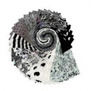 Linework - Design Roll  FB4DRTP-LINEWORK