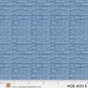 Historical Quilt Backs 108inch HIQB-04055-B