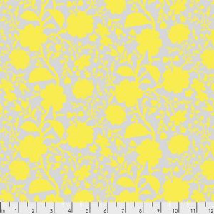 Tulas True Colors - Wildflower - Daisy  PWTP149-DAISY