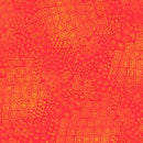 Feline Frolic Y2801-80